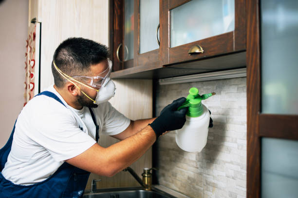 Best Best Pest Control Companies  in Elizabeth Lake, CA